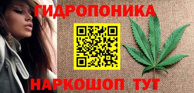 СК Донской