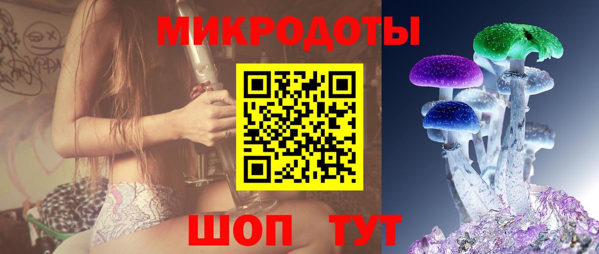 Галлюциногенные грибы Psilocybine cubensis Нефтекамск